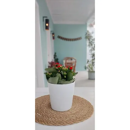 Voda Holiday home *